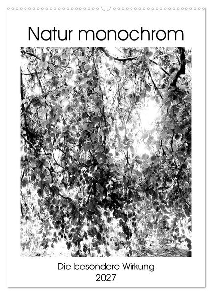 Natur monochrom Die besondere Wirkung (Wandkalender 2027 DIN A2 hoch) CALVENDO Monatskalender