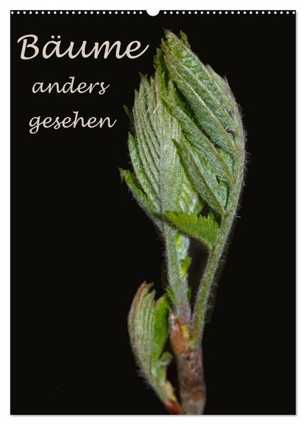 Bäume anders gesehen (Wandkalender 2027 DIN A2 hoch) CALVENDO Monatskalender