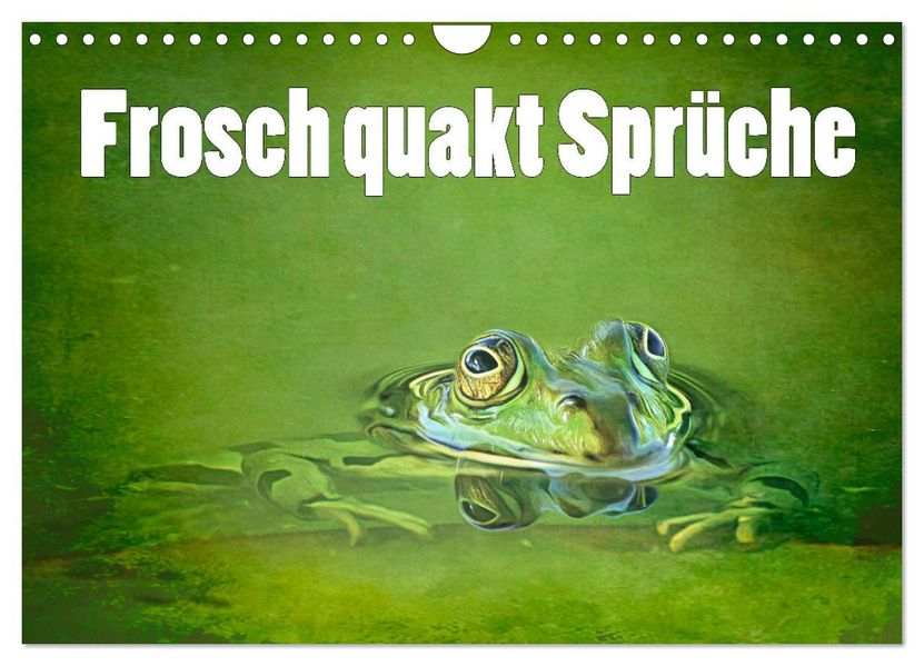 Frosch quakt Sprüche (Wandkalender 2027 DIN A4 quer) CALVENDO Monatskalender
