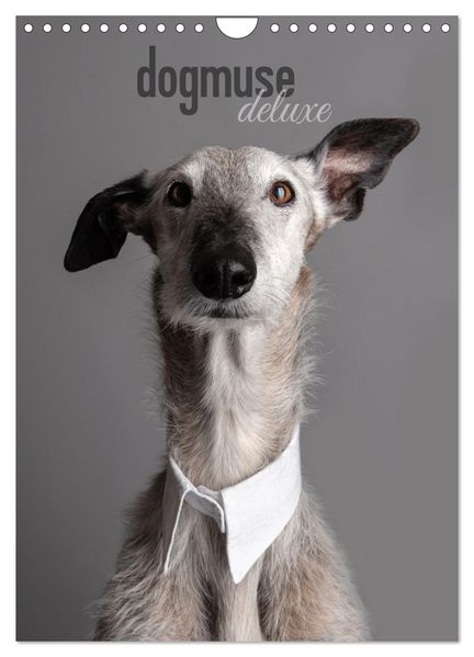 dogmuse deluxe (Wandkalender 2027 DIN A4 hoch) CALVENDO Monatskalender