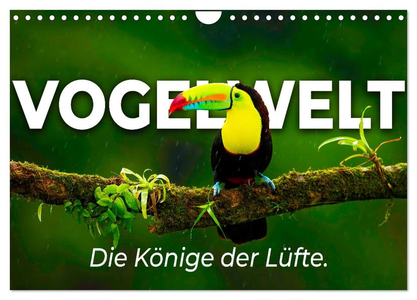 Vogelwelt - Die Könige der Lüfte. (Wandkalender 2027 DIN A4 quer) CALVENDO Monatskalender