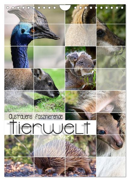 Australiens faszinierende Tierwelt (Wandkalender 2027 DIN A4 hoch) CALVENDO Monatskalender