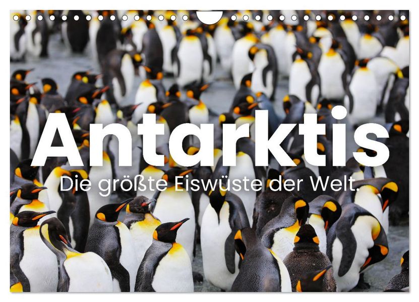 Antarktis - Die größte Eiswüste der Welt. (Wandkalender 2027 DIN A4 quer) CALVENDO Monatskalender