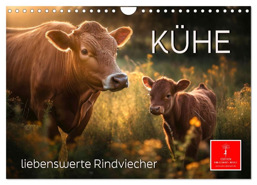 Kühe - liebenswerte Rindviecher (Wandkalender 2027 DIN A4 quer) CALVENDO Monatskalender