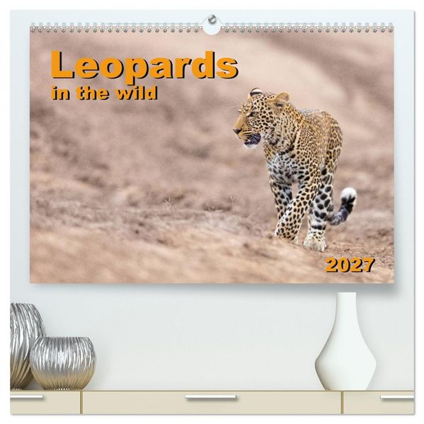 Leopards in the wild (High Quality Premium Wall Calendar 2027 DIN A2 landscape)CALVENDO 12 Month Wall Calendar