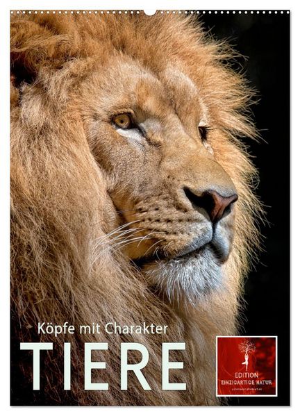 Tiere - Köpfe mit Charakter (Wandkalender 2027 DIN A2 hoch) CALVENDO Monatskalender