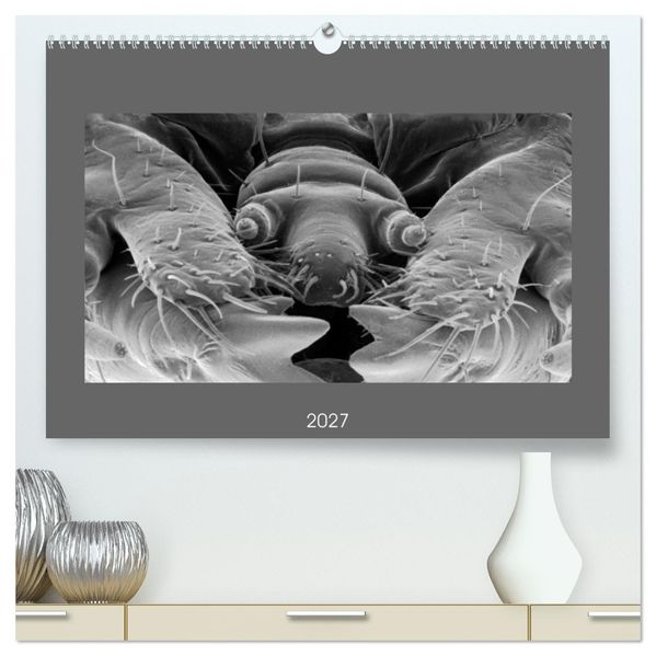 Erlebnis Mikrokosmos (hochwertiger Premium Wandkalender 2027 DIN A2 quer) Kunstdruck in Hochglanz