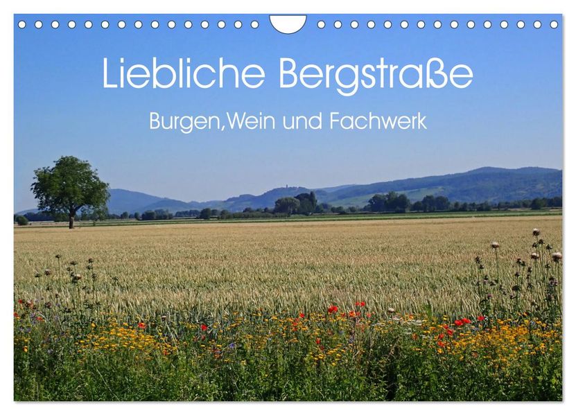 Liebliche Bergstraße - Burgen Wein und Fachwerk (Wandkalender 2027 DIN A4 quer) CALVENDO Monatskalender