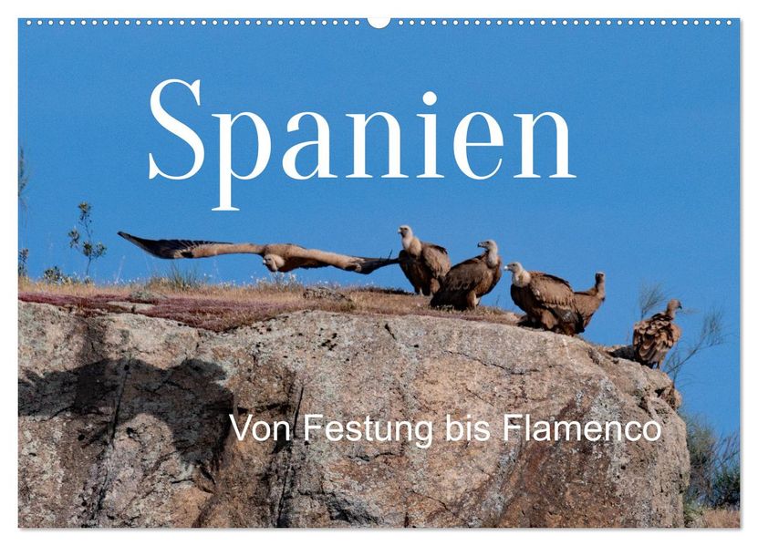 Von Festung bis Flamenco (Wandkalender 2027 DIN A2 quer) CALVENDO Monatskalender