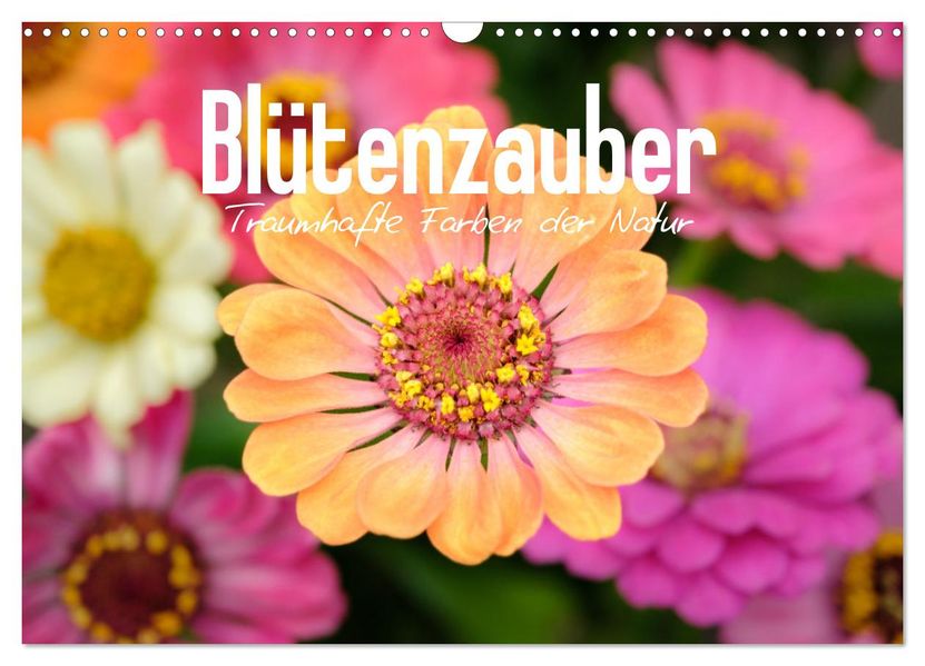 Blütenzauber - Traumhafte Farben der Natur (Wandkalender 2027 DIN A3 quer) CALVENDO Monatskalender