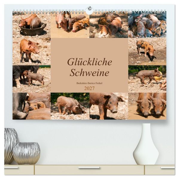 Glückliche Schweine Berkshire-Iberico Ferkel (hochwertiger Premium Wandkalender 2027 DIN A2 quer) Kunstdruck in Hochglanz