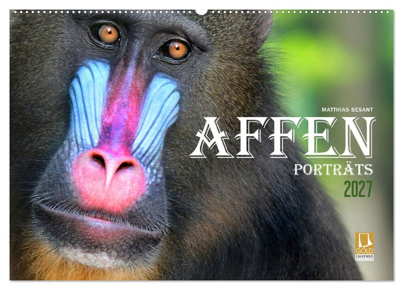 AFFENPORTRÄTS (Wandkalender 2027 DIN A2 quer) CALVENDO Monatskalender