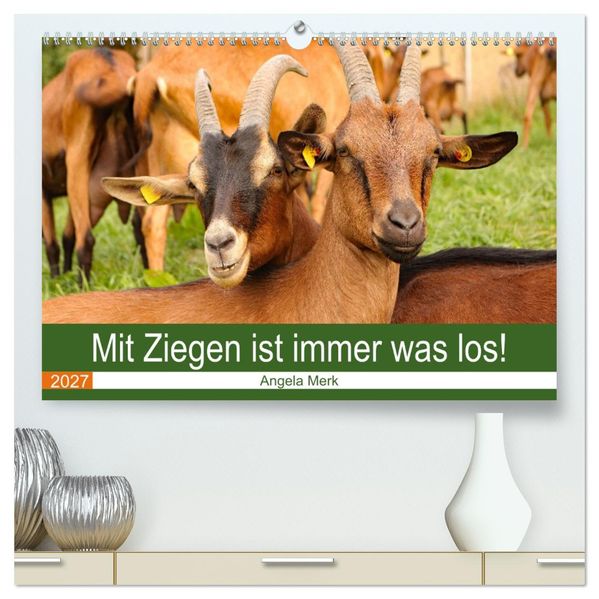 Mit Ziegen ist immer was los! (hochwertiger Premium Wandkalender 2027 DIN A2 quer) Kunstdruck in Hochglanz