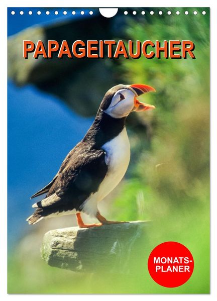 Papageitaucher Monatsplaner (Wandkalender 2027 DIN A4 hoch) CALVENDO Monatskalender