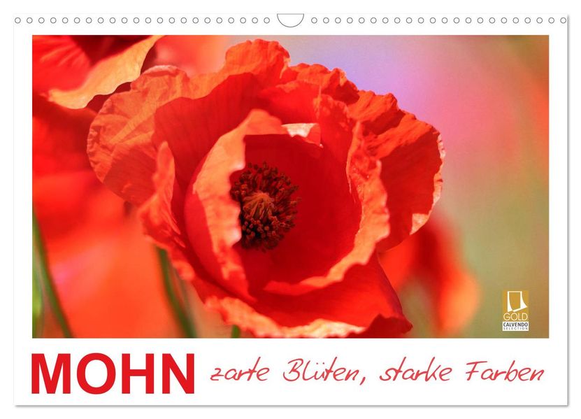 Mohn zarte Blüten starke Farben (Wandkalender 2027 DIN A3 quer) CALVENDO Monatskalender