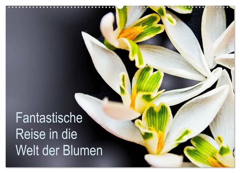 Fantastische Reise in die Welt der Blumen (Wandkalender 2027 DIN A2 quer) CALVENDO Monatskalender