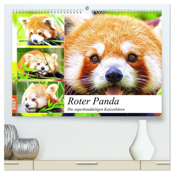 Roter Panda. Die superknuddeligen Katzenbären (hochwertiger Premium Wandkalender 2027 DIN A2 quer) Kunstdruck in Hochglanz