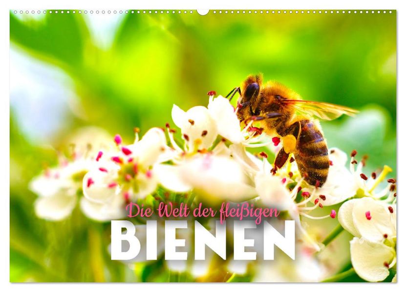 Die Welt der fleißigen Bienen (Wandkalender 2027 DIN A2 quer) CALVENDO Monatskalender