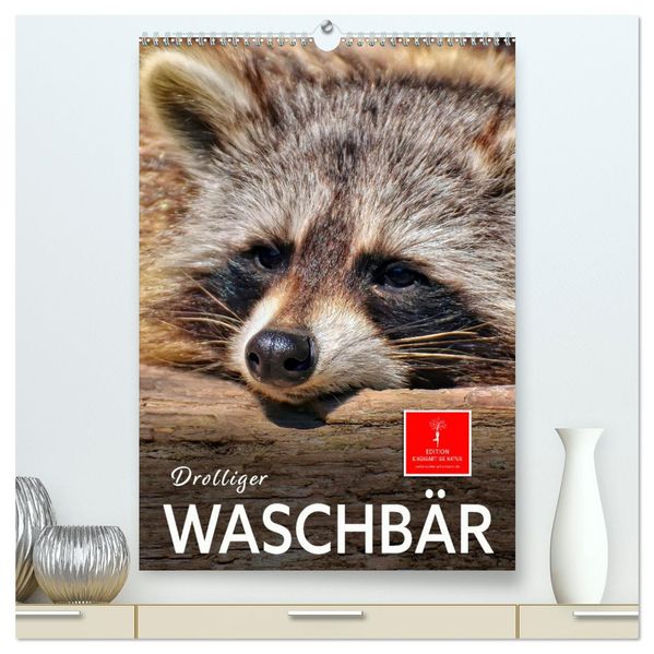 Drolliger Waschbär (hochwertiger Premium Wandkalender 2027 DIN A2 hoch) Kunstdruck in Hochglanz