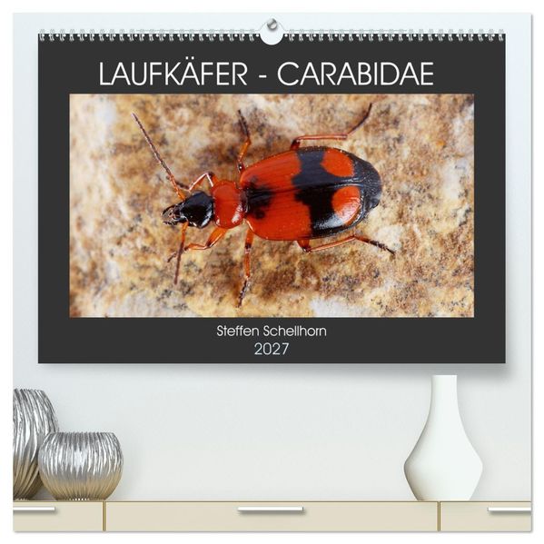 LAUFKÄFER - CARABIDAE (hochwertiger Premium Wandkalender 2027 DIN A2 quer) Kunstdruck in Hochglanz