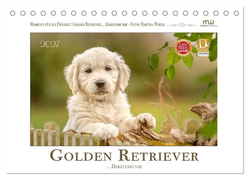 Golden Retriever... Herzenshunde (Tischkalender 2027 DIN A5 quer) CALVENDO Monatskalender