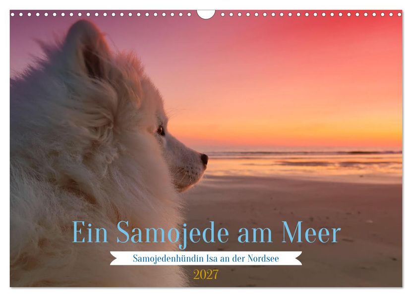 Ein Samojede am Meer (Wandkalender 2027 DIN A3 quer) CALVENDO Monatskalender