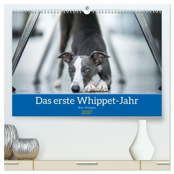 Das erste Whippet-Jahr (hochwertiger Premium Wandkalender 2027 DIN A2 quer) Kunstdruck in Hochglanz