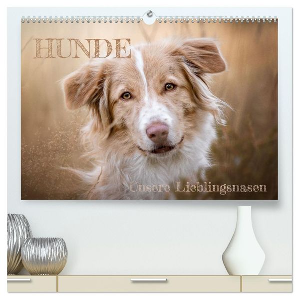 Hunde - Unsere Lieblingsnasen (hochwertiger Premium Wandkalender 2027 DIN A2 quer) Kunstdruck in Hochglanz