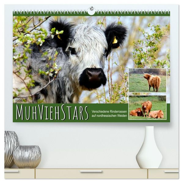 MuhViehStars (hochwertiger Premium Wandkalender 2027 DIN A2 quer) Kunstdruck in Hochglanz