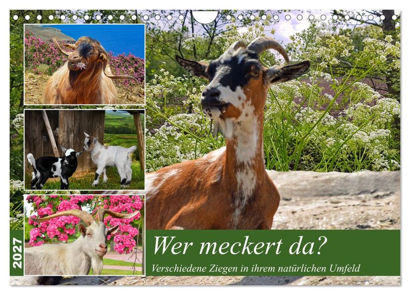 Wer meckert da? (Wandkalender 2027 DIN A4 quer) CALVENDO Monatskalender