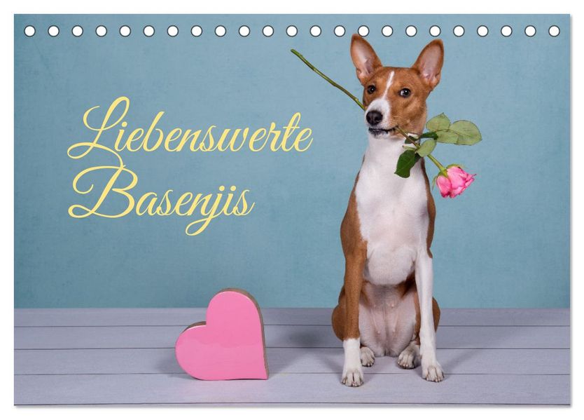 Liebenswerte Basenjis (Tischkalender 2027 DIN A5 quer) CALVENDO Monatskalender
