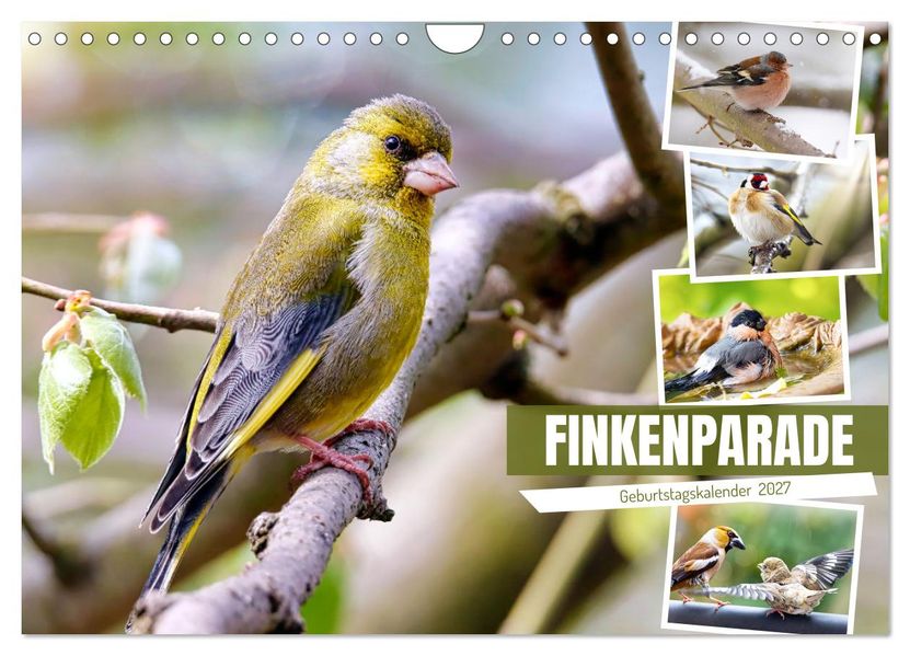 Finkenparade (Wandkalender 2027 DIN A4 quer) CALVENDO Monatskalender