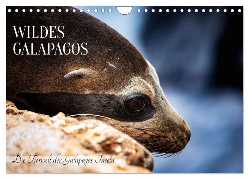 Wildes Galapagos - Die Tiere der Galapagos Inseln (Wandkalender 2027 DIN A4 quer) CALVENDO Monatskalender
