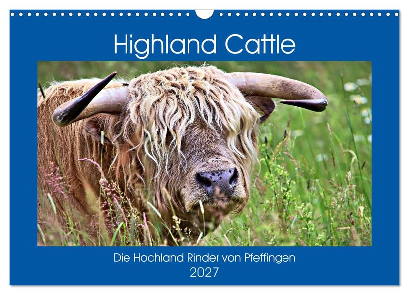 Highland Cattle die Hochlandrinder aus Pfeffingen (Wandkalender 2027 DIN A3 quer) CALVENDO Monatskalender
