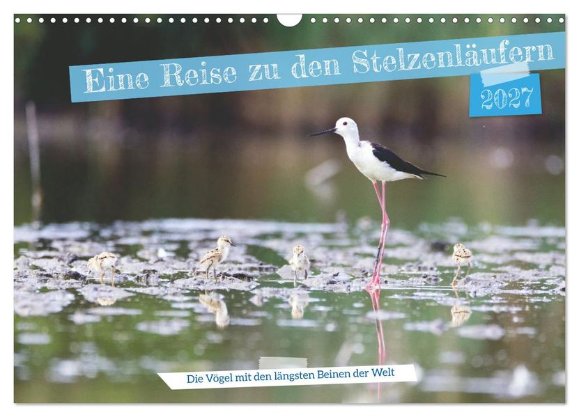 Eine Reise zu den Stelzenläufern (Wandkalender 2027 DIN A3 quer) CALVENDO Monatskalender