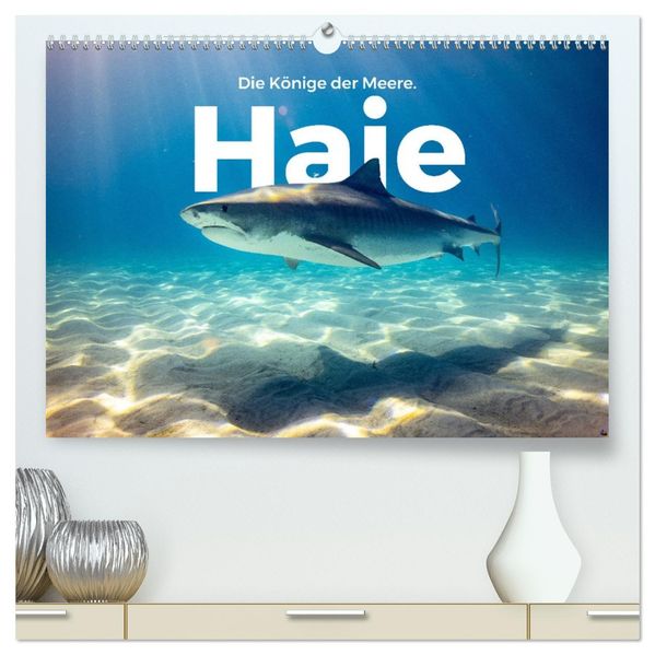 Haie - Könige der Meere. (hochwertiger Premium Wandkalender 2027 DIN A2 quer) Kunstdruck in Hochglanz