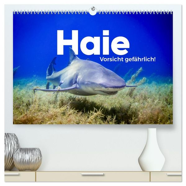 Haie - Vorsicht gefährlich! (hochwertiger Premium Wandkalender 2027 DIN A2 quer) Kunstdruck in Hochglanz