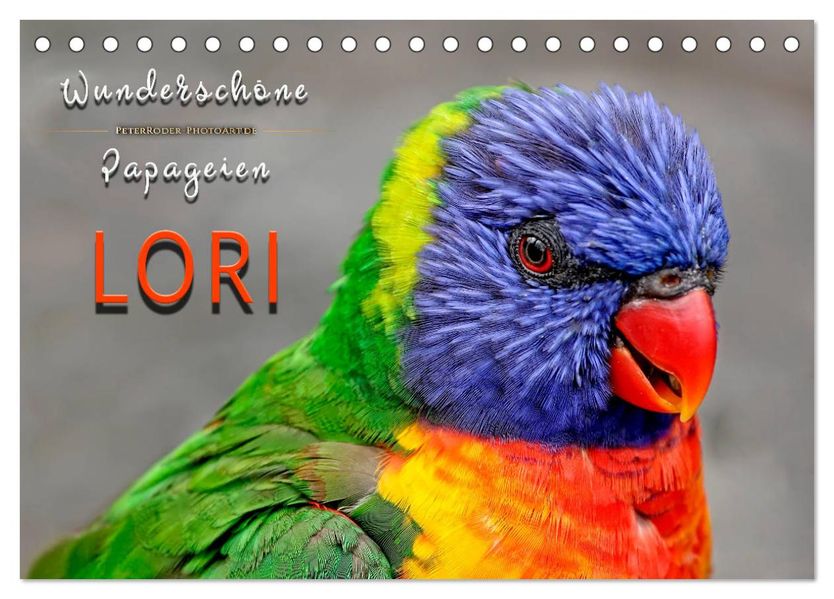 Wunderschöne Papageien - Lori (Tischkalender 2027 DIN A5 quer) CALVENDO Monatskalender