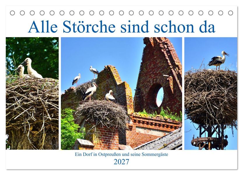 Alle Störche sind schon da - Ein Dorf in Ostpreußen und seine Sommergäste (Tischkalender 2027 DIN A5 quer) CALVENDO Monatskalender