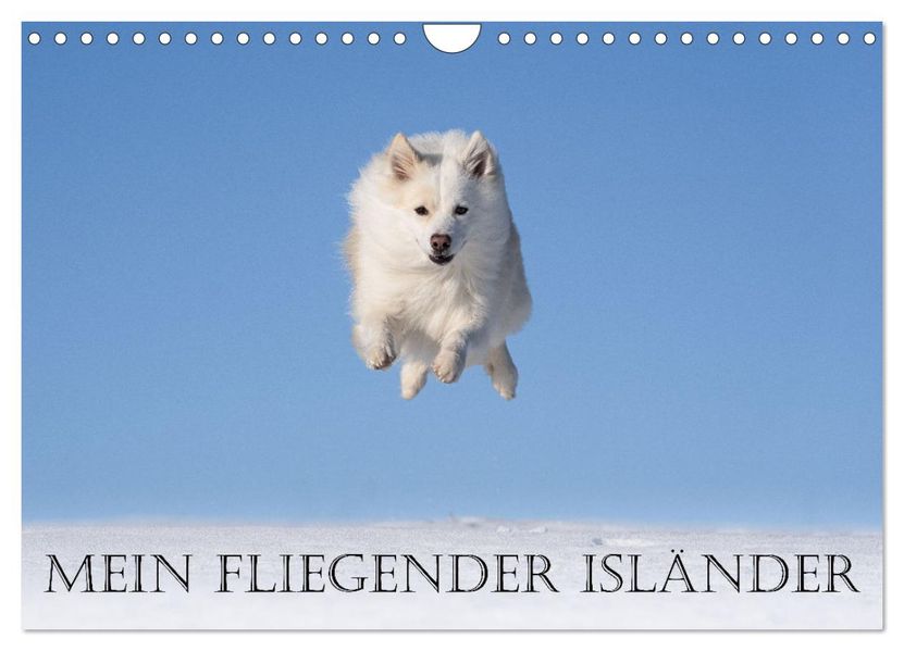 Mein fliegender Isländer (Wandkalender 2027 DIN A4 quer) CALVENDO Monatskalender