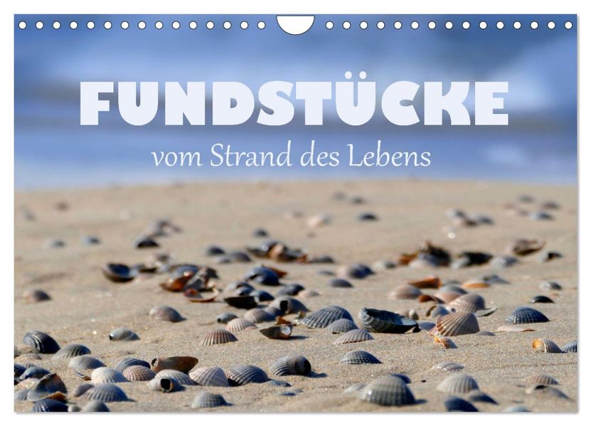 Fundstücke vom Strand des Lebens (Wandkalender 2027 DIN A4 quer) CALVENDO Monatskalender