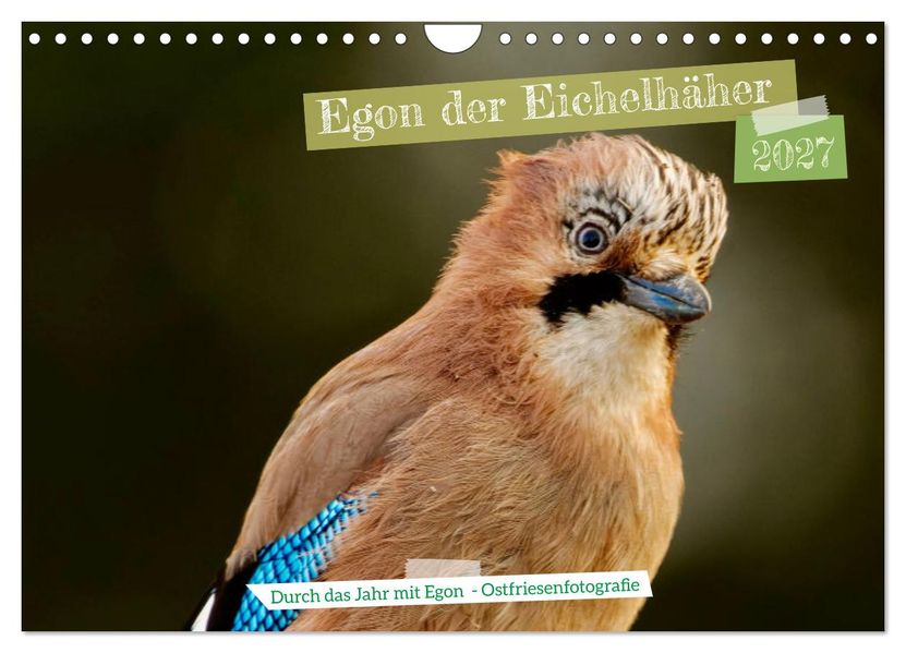 Egon der Eichelhäher - Durch das Jahr mit Egon - von Ostfriesenfotografie (Wandkalender 2027 DIN A4 quer) CALVENDO Monatskalender