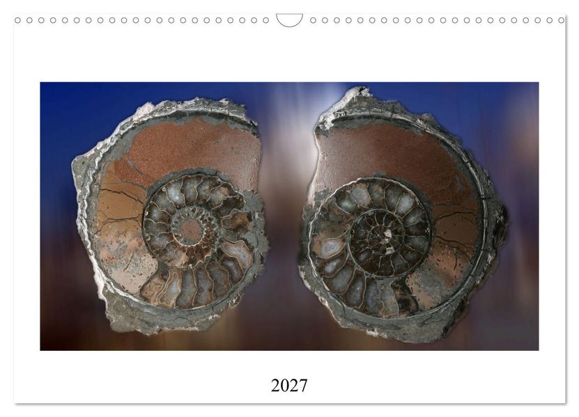 Versteinerte Welt (Wandkalender 2027 DIN A3 quer) CALVENDO Monatskalender