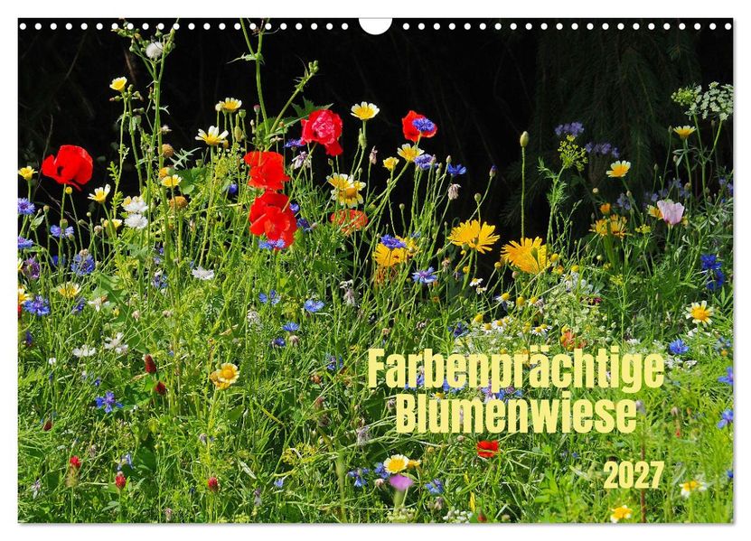 Farbenprächtige Blumenwiese (Wandkalender 2027 DIN A3 quer) CALVENDO Monatskalender