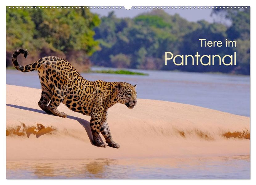 Tiere im Pantanal - Viaje (Wandkalender 2027 DIN A2 quer) CALVENDO Monatskalender