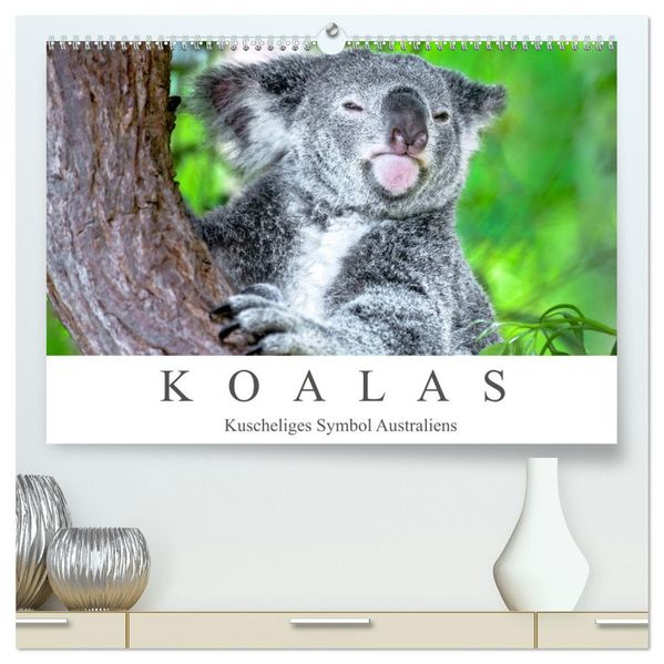 Koalas - Kuscheliges Symbol Australiens (hochwertiger Premium Wandkalender 2027 DIN A2 quer) Kunstdruck in Hochglanz