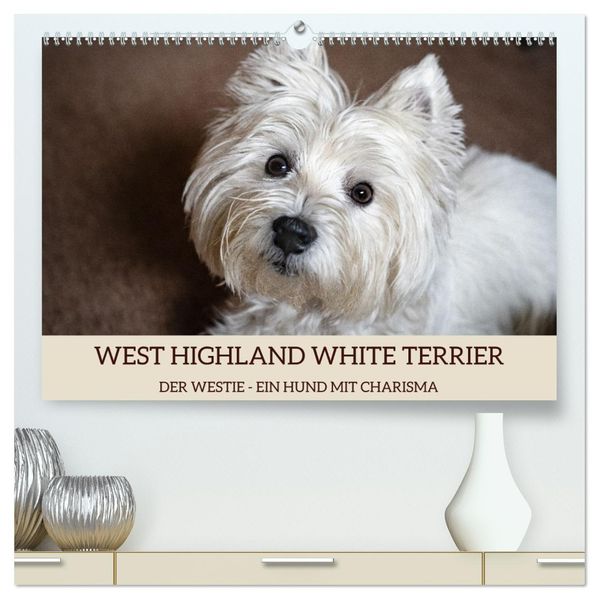 WEST HIGHLAND WHITE TERRIER - DER WESTIE - EIN HUND MIT CHARISMA (hochwertiger Premium Wandkalender 2027 DIN A2 quer) Kunstdruck in Hochglanz