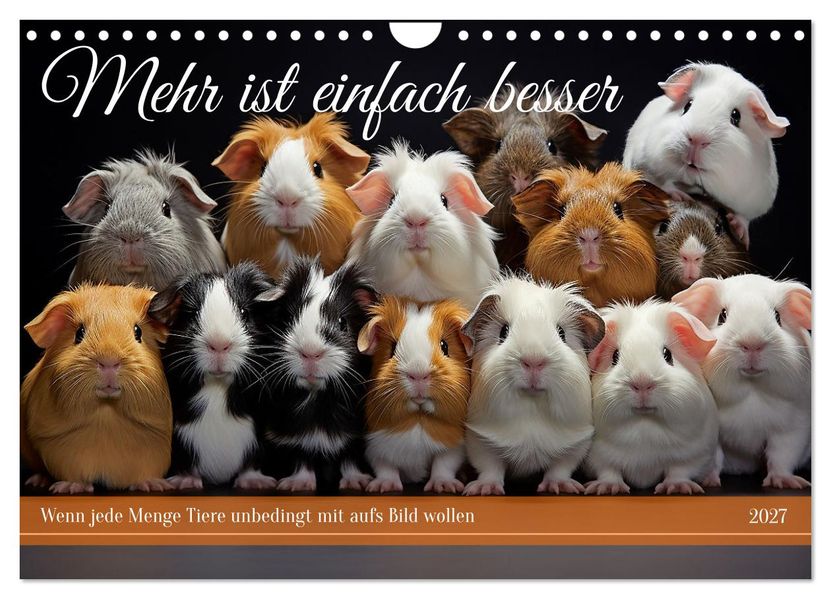 Mehr ist einfach besser (Wandkalender 2027 DIN A4 quer) CALVENDO Monatskalender