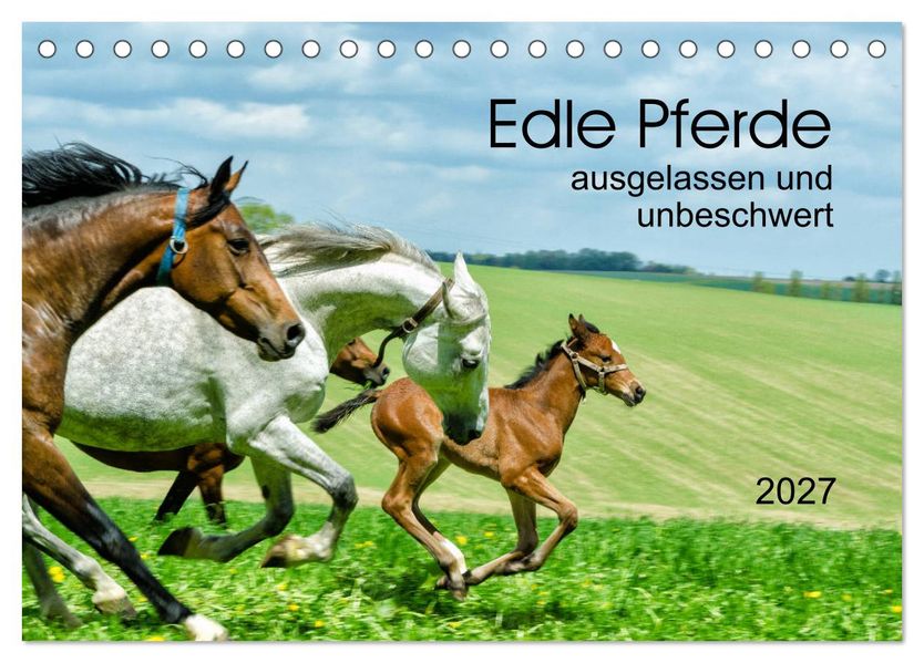 Edle Pferde - ausgelassen und unbeschwert (Tischkalender 2027 DIN A5 quer) CALVENDO Monatskalender