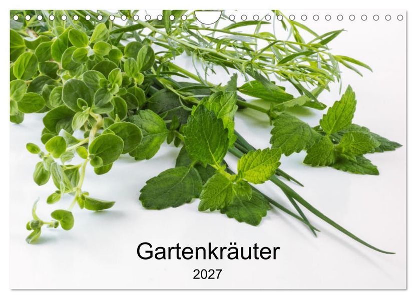Gartenkräuter (Wandkalender 2027 DIN A4 quer) CALVENDO Monatskalender